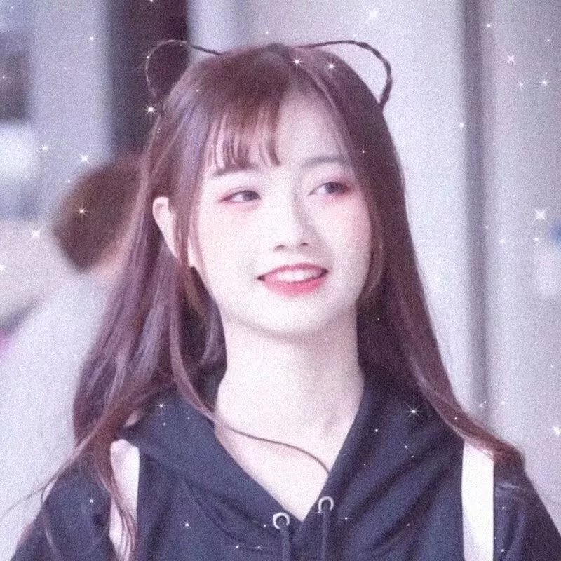 狮子今夜入睡